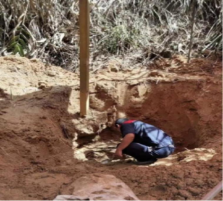 圖片.png 圖片.png